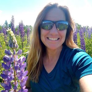 Meet your Posher, Ann